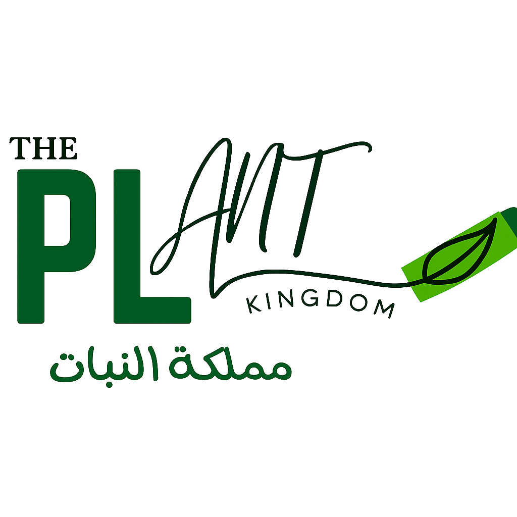 The Plant Kingdom - مملكة النبات
