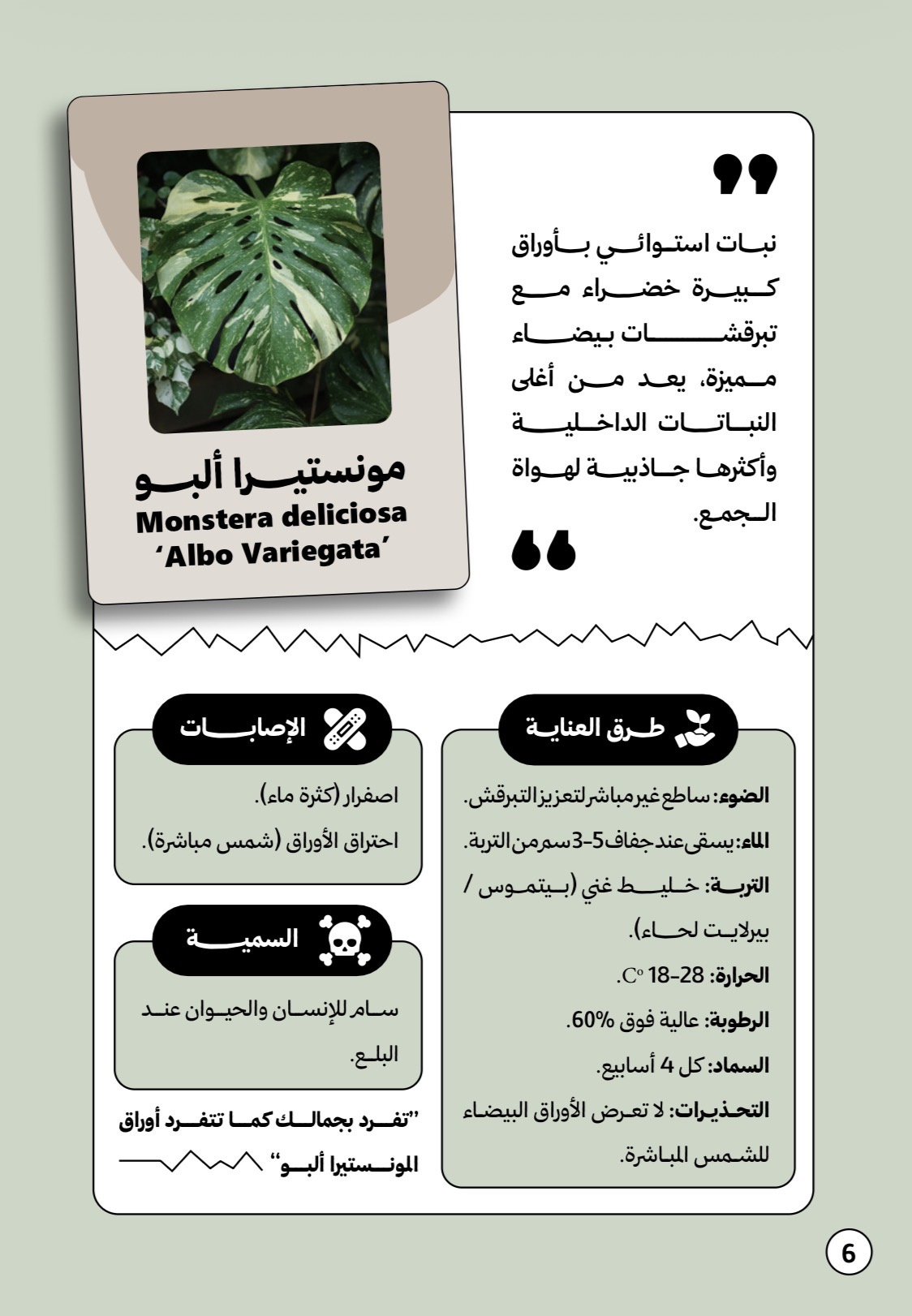 غلاف الكتاب - 1