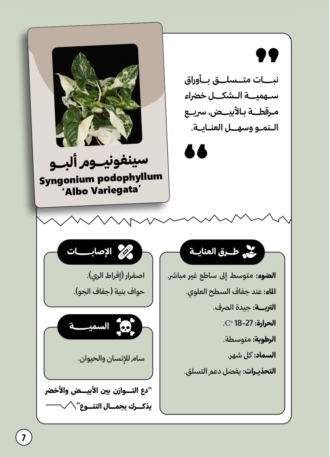 غلاف الكتاب - 2