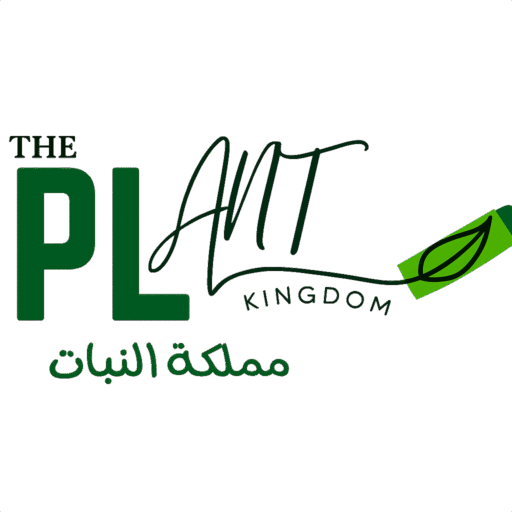 مملكة النبات